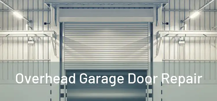  Overhead Garage Door Repair 